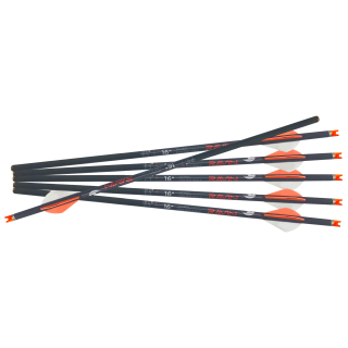 6 Stück 16" Spezialbolzen 0,003  für Armbrust Ravin R18