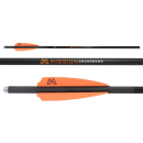 3 Stück 19" Premium Bolzen 250grain Mission by...