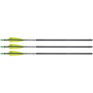 3 Stück 20 EVO-X Center Punch Premium Bolzen mit Alpha-Brite Nocks