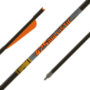 6 Stück 20 GoldTip Ballistic Armbrust Bolzen Carbon