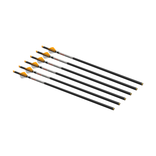 6 Stück Bolzen 0,001 für Armbrust Ravin R500