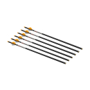6 Stück Bolzen 0,001 für Armbrust Ravin R500