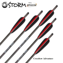 6 Stück 22 Sphere Storm Armbrust Bolzen Carbon