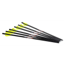 6 Stück 16,5 Excalibur Quill Carbonbolzen