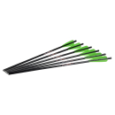 6 Stück 20 Excalibur Firebolt Carbonbolzen